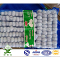 Normal White Garlic Size 5.0cm 1lbs Small Packing